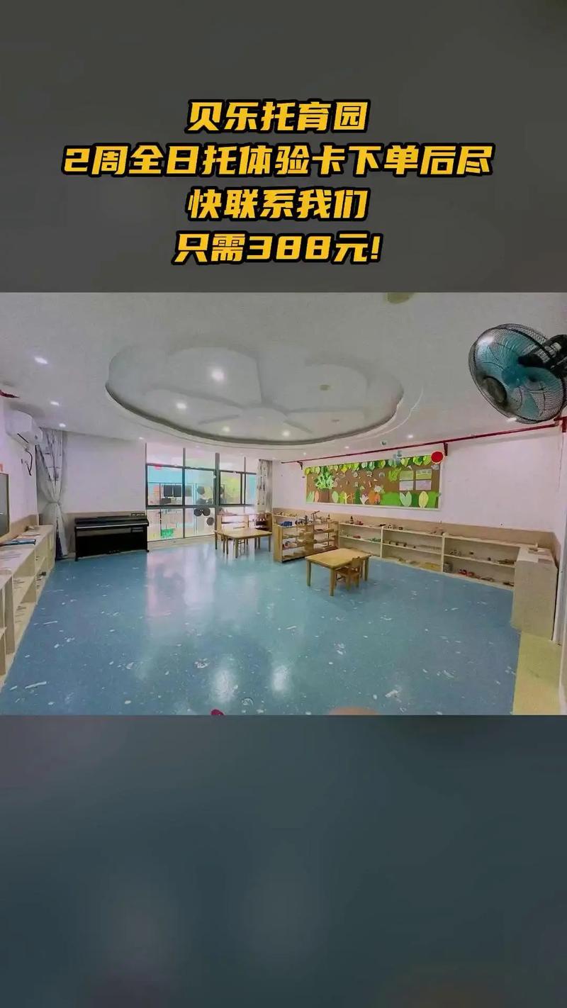 贝乐托育园,惊喜狂欢,2周全日托体验卡下单后尽快联系我们,超